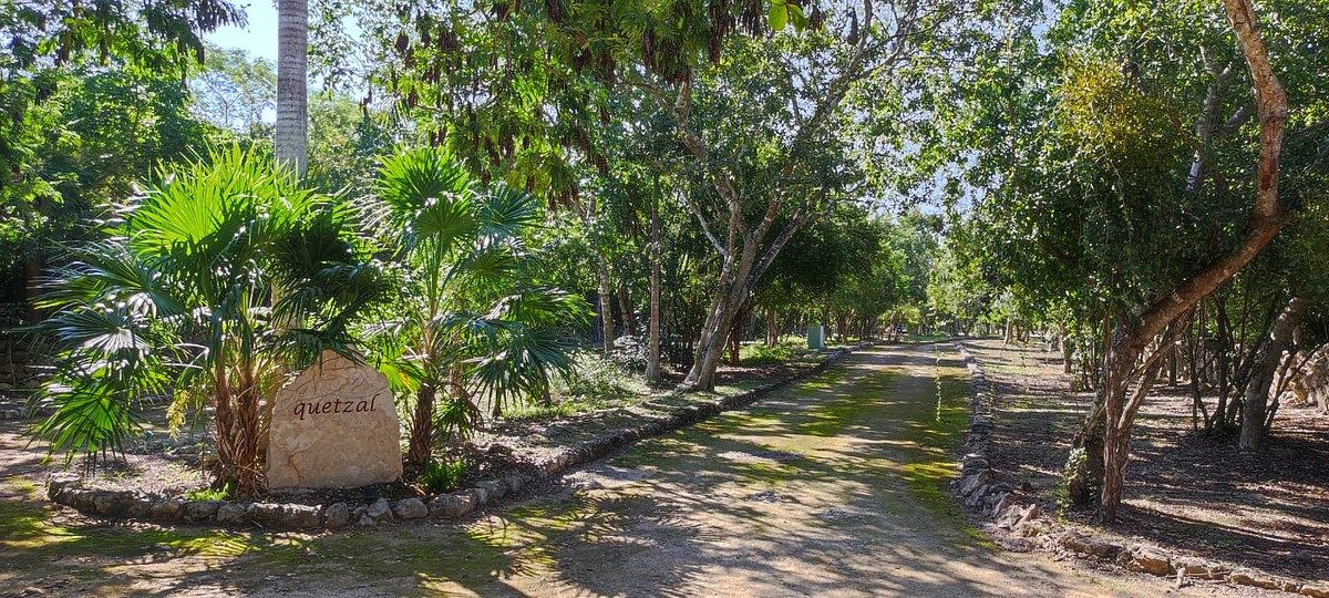 Lote em Dzibilchaltún, Mérida, foto 16 de 23