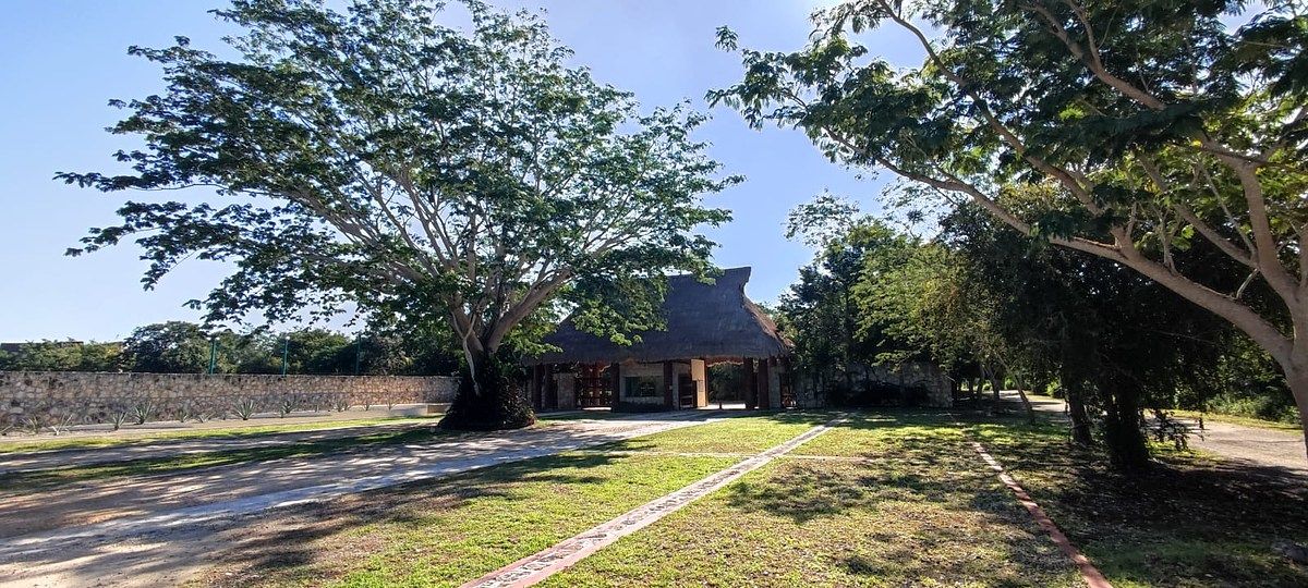 Lote em Dzibilchaltún, Mérida, foto 2 de 23
