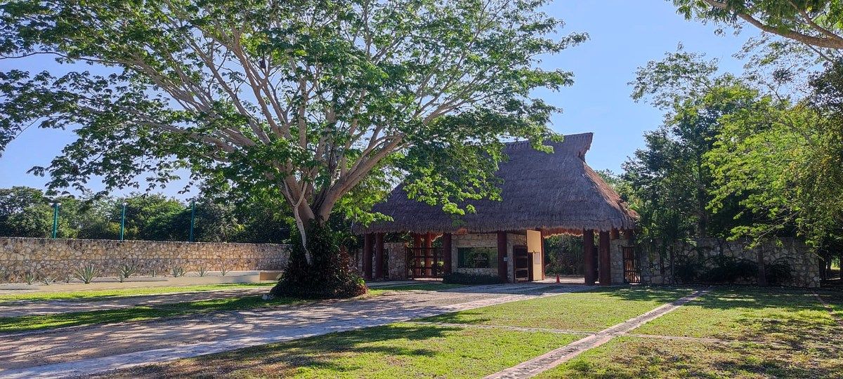 Lote em Dzibilchaltún, Mérida, foto 20 de 23