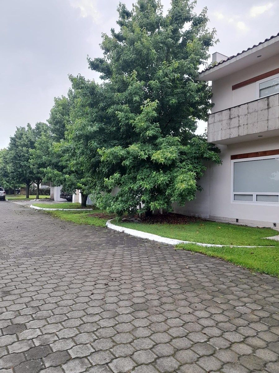 Lot in La Providencia, Metepec, photo 3 of 4