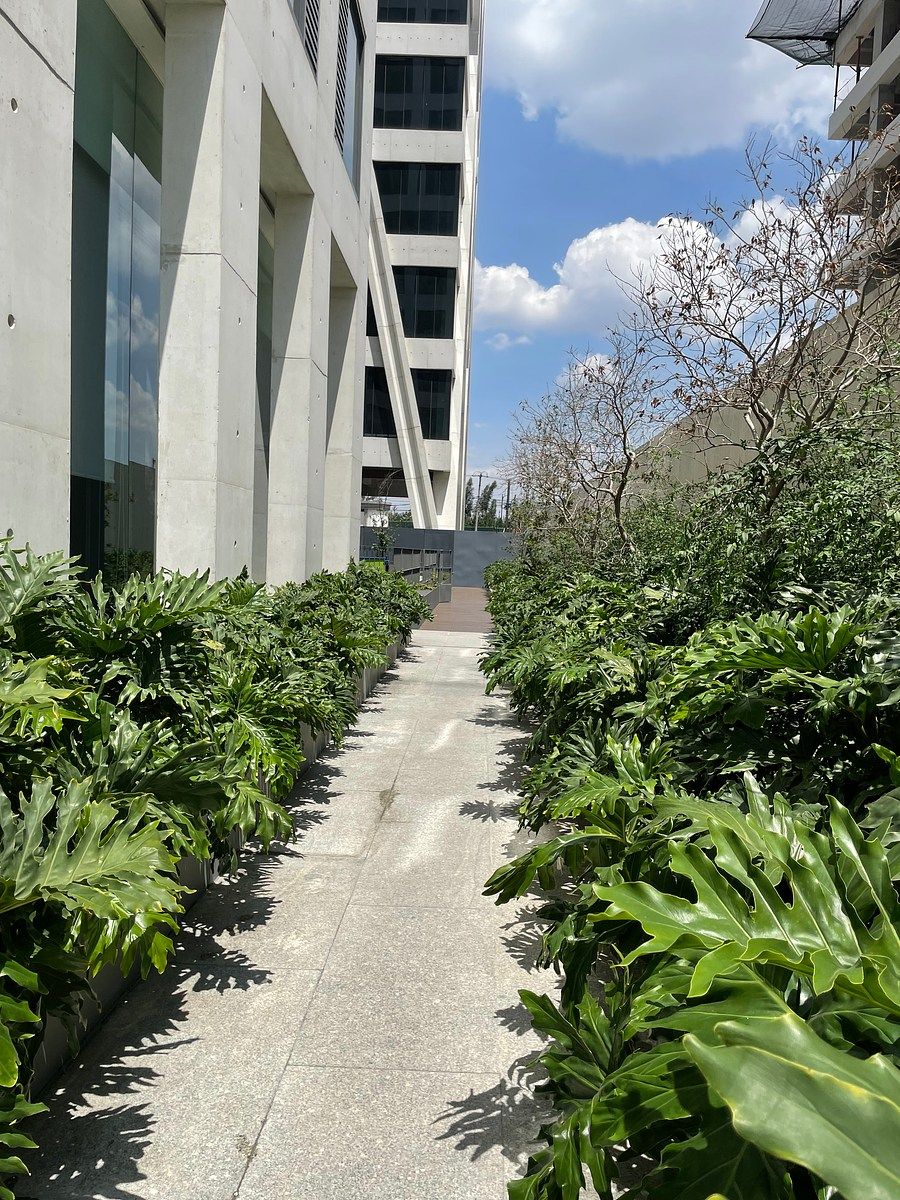 Apartamento em Cooperativa Palo Alto, Cuajimalpa de Morelos, foto 9 de 23
