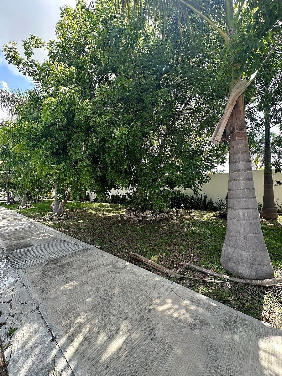 Casa en San Juan Bautista, Mérida, foto 28 de 29