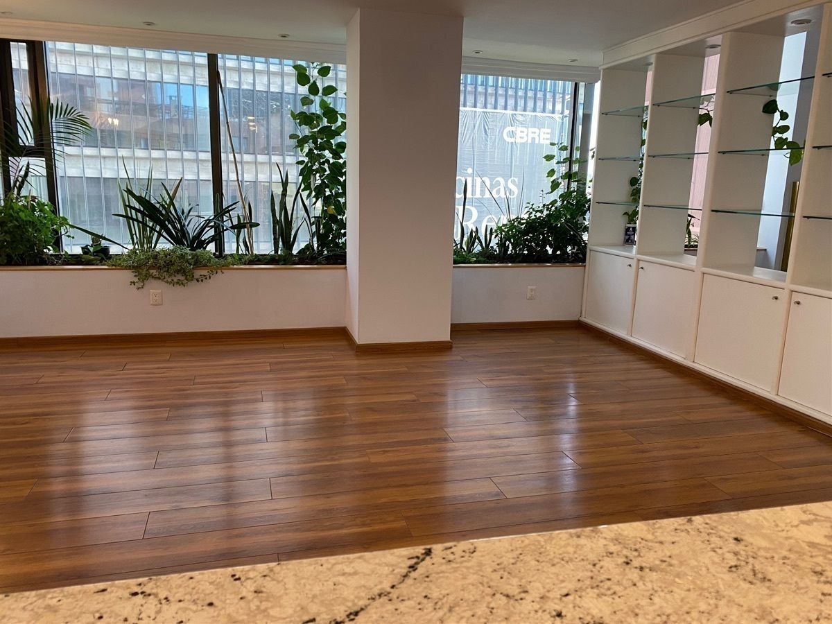Apartamento em Polanco I Sección, Miguel Hidalgo, foto 4 de 19