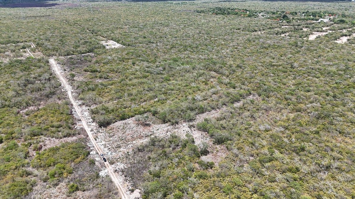 Lote em Temozón Norte, Mérida, foto 5 de 16