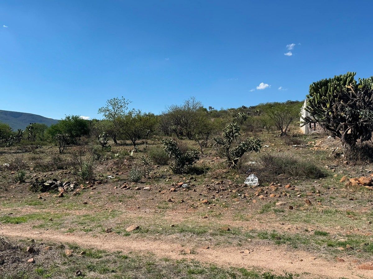 Terreno en Amazcala, El Marqués, foto 10 de 11
