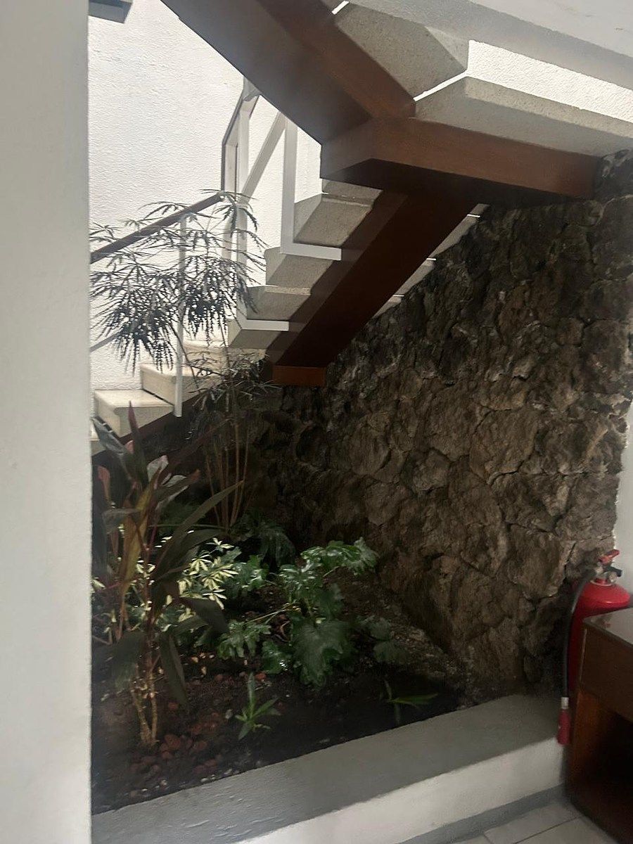 Oficina en Ampliación Alpes, Álvaro Obregón, foto 10 de 10