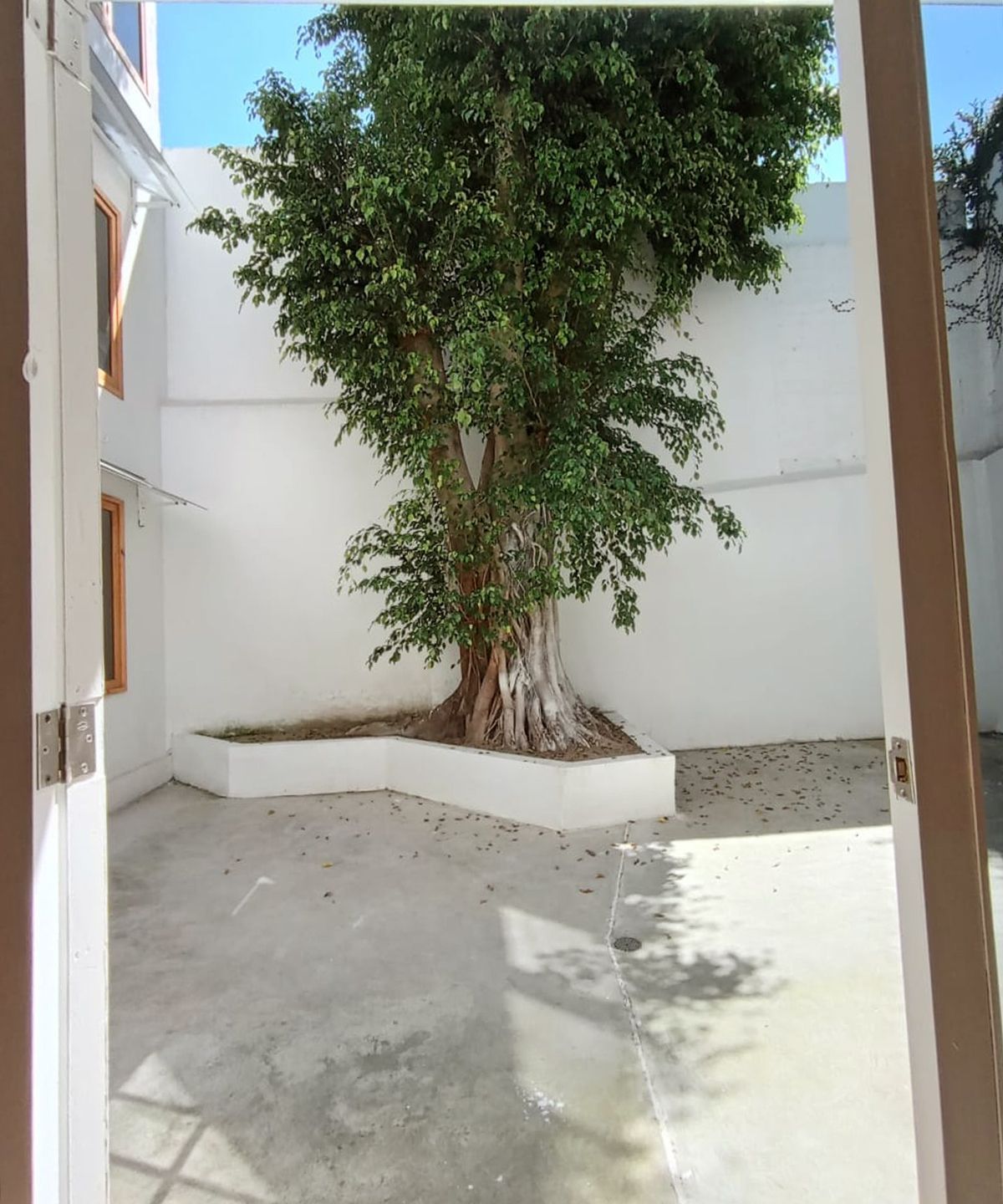 Casa en Italia Providencia, Guadalajara, foto 16 de 24