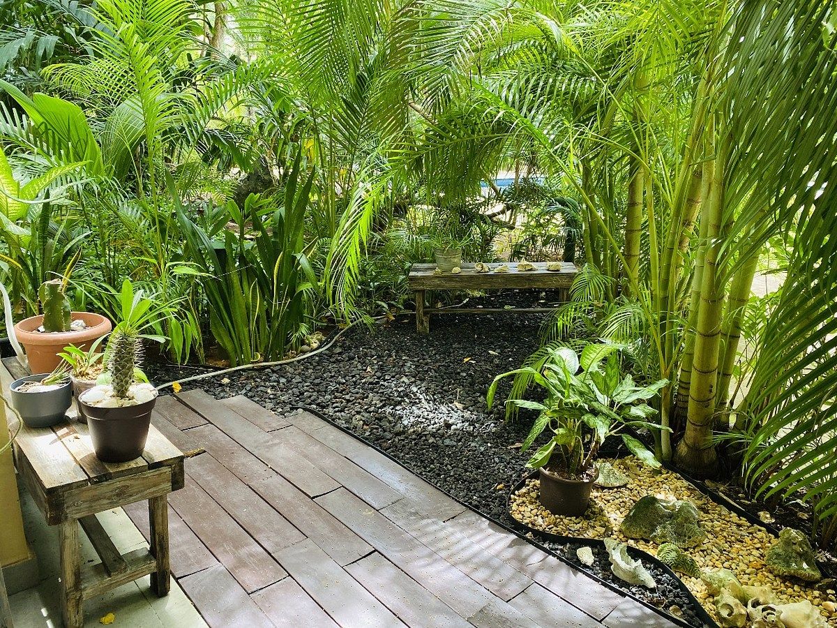 Apartment in Playa del Carmen, Playa del Carmen, photo 5 of 18