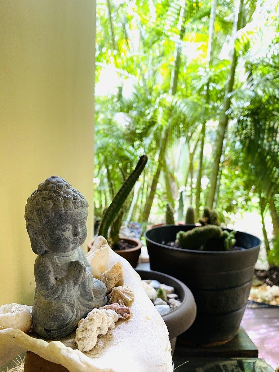 Apartment in Playa del Carmen, Playa del Carmen, photo 16 of 18