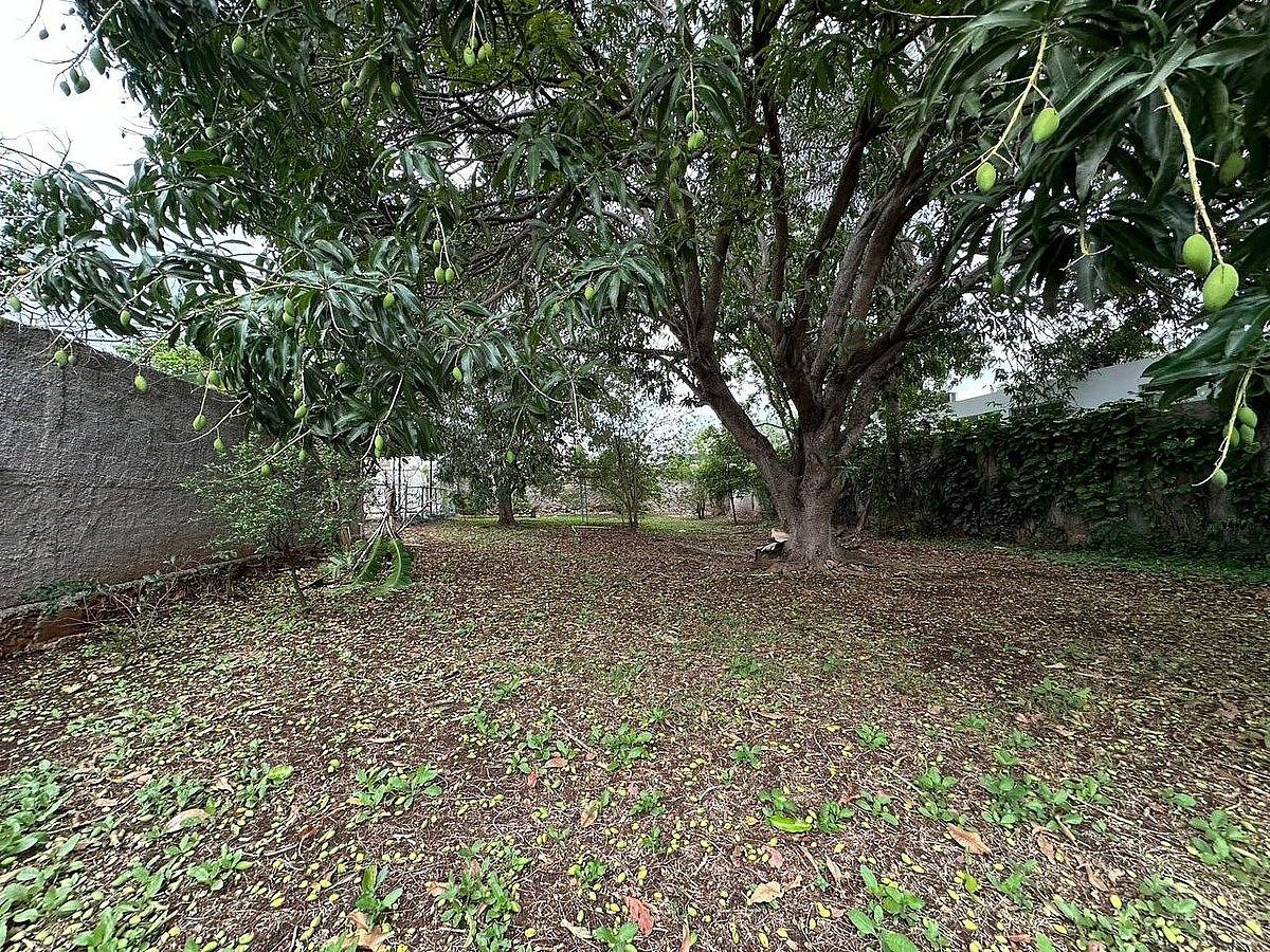 Casa con uso de suelo en San Ramon Norte, Mérida, foto 3 de 29