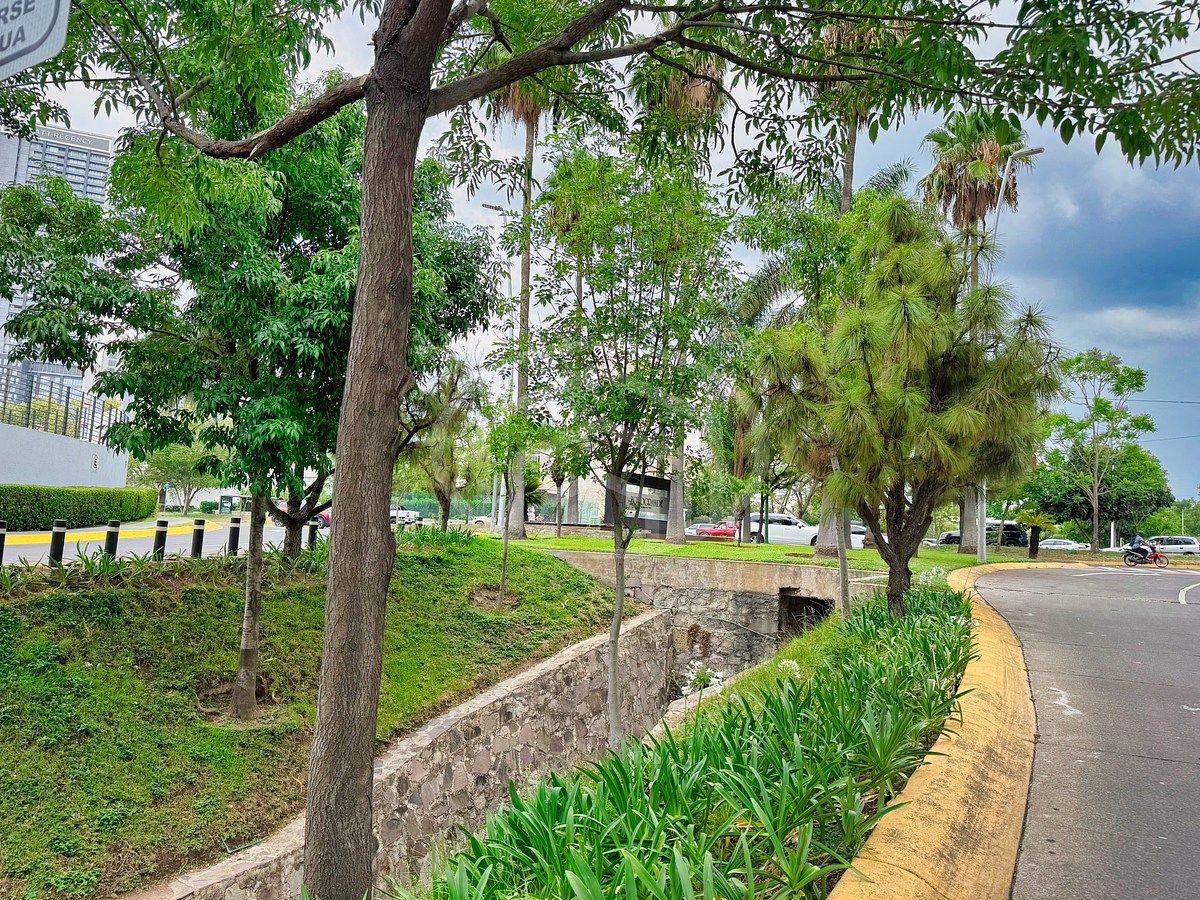 ÁREAS VERDES, foto 33 de 33