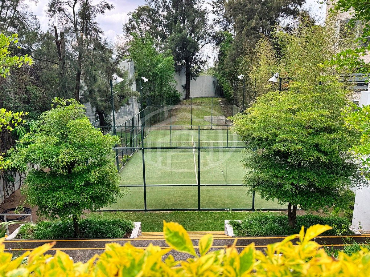 CANCHA PADEL, foto 30 de 33