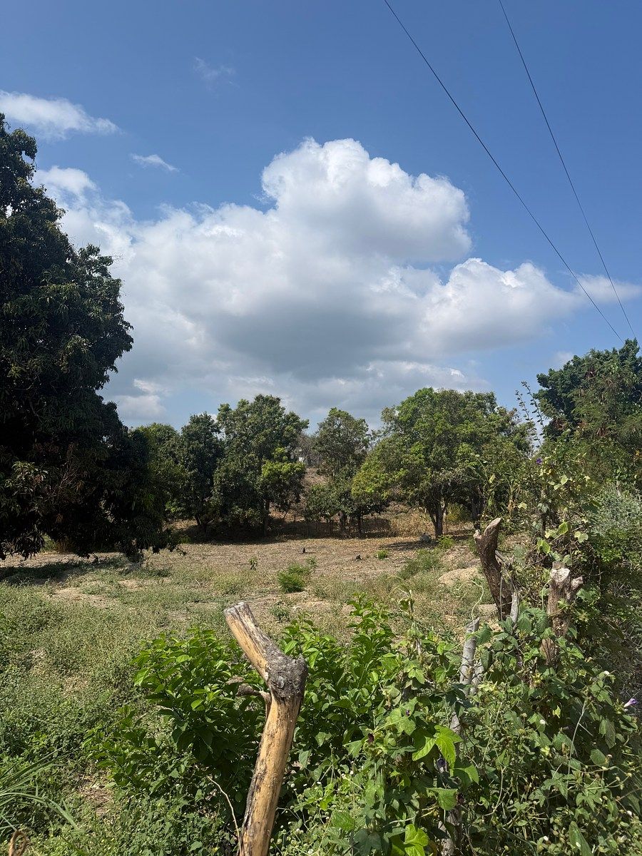 Lot in El Calvario, Chiapa de Corzo, photo 4 of 5