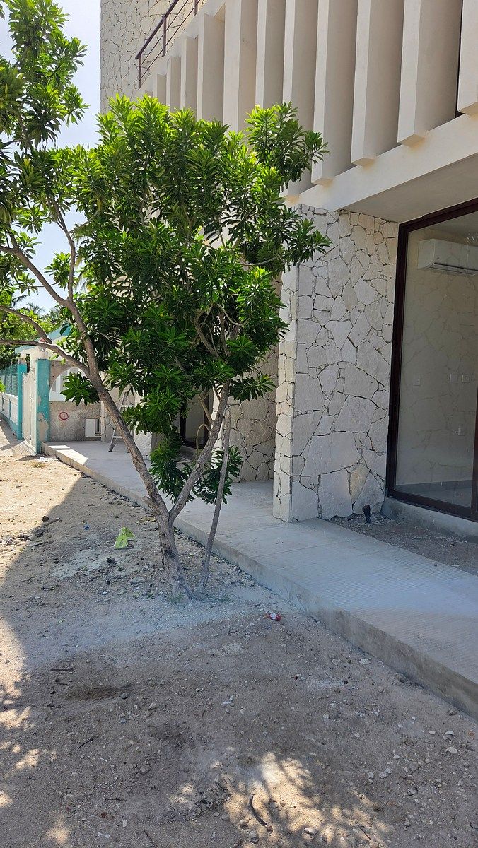 Vila em Chelem, Progreso, foto 6 de 29