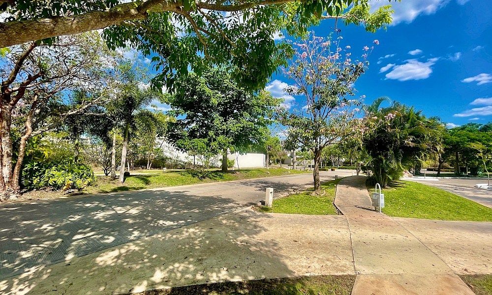 Lot in Cholul, Mérida, photo 3 of 7