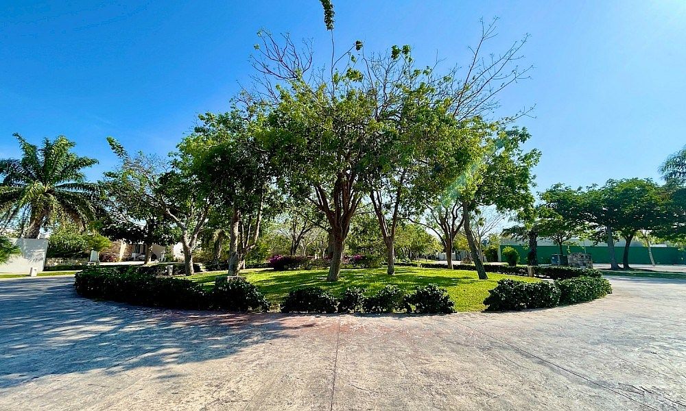 Lot in Cholul, Mérida, photo 4 of 7
