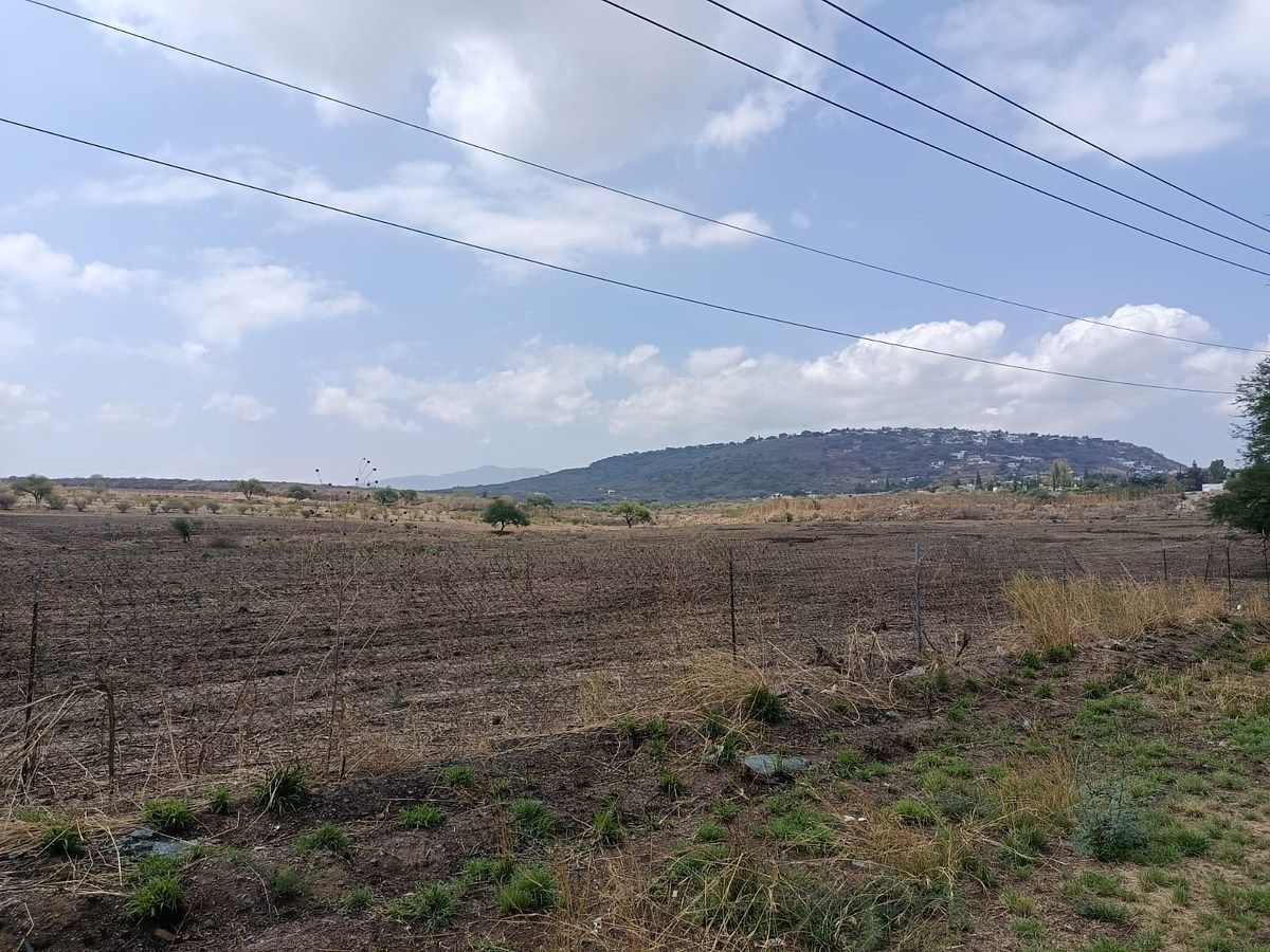Se venden hectareas a pie de carretera en la Calera., foto 1 de 5