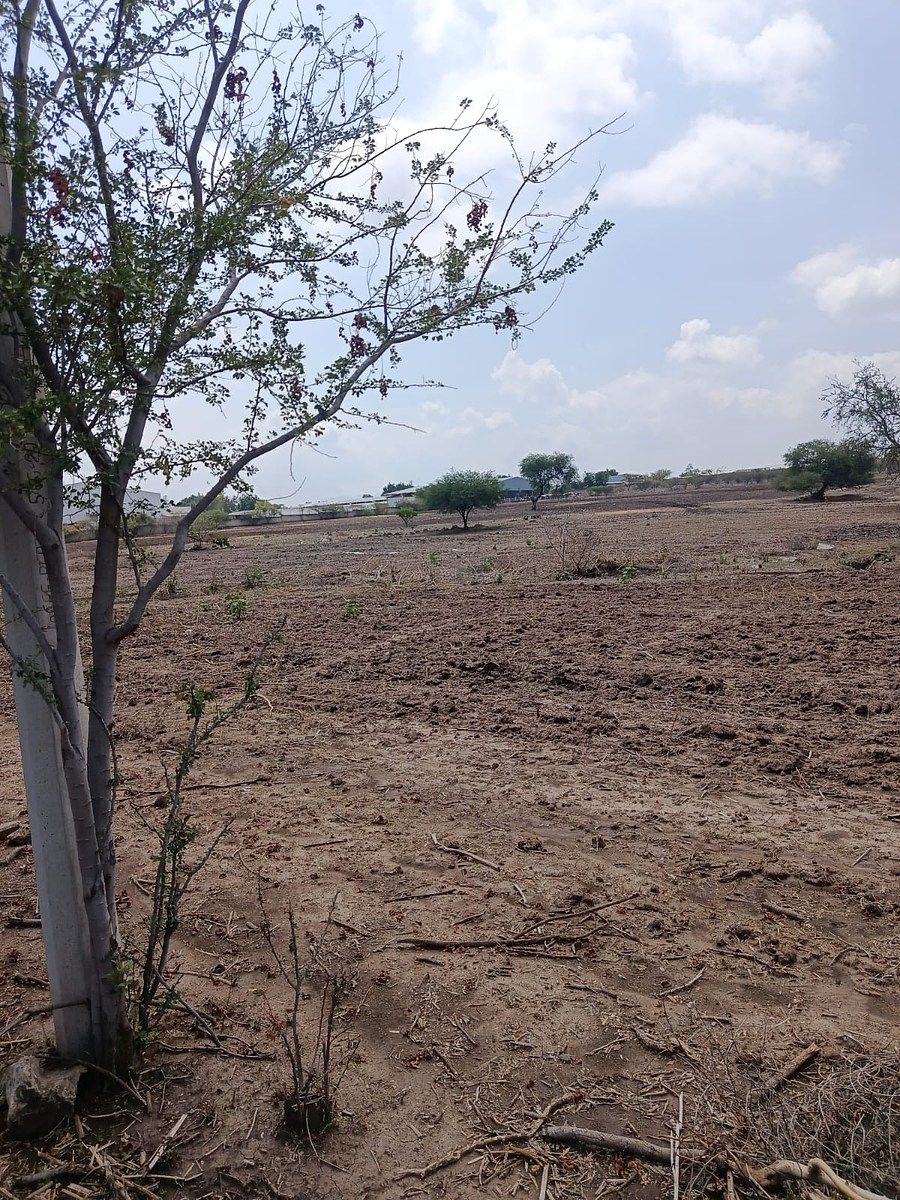 Lote em Jardines de La Calera, Tlajomulco de Zúñiga, foto 5 de 5