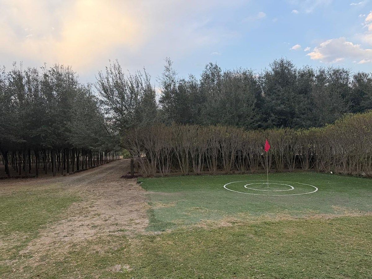 Terreno en San Antonio, Juárez, foto 2 de 13