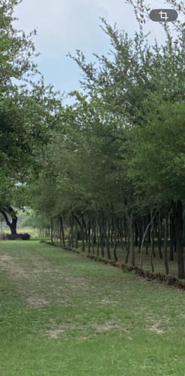 Terreno en San Antonio, Juárez, foto 12 de 13