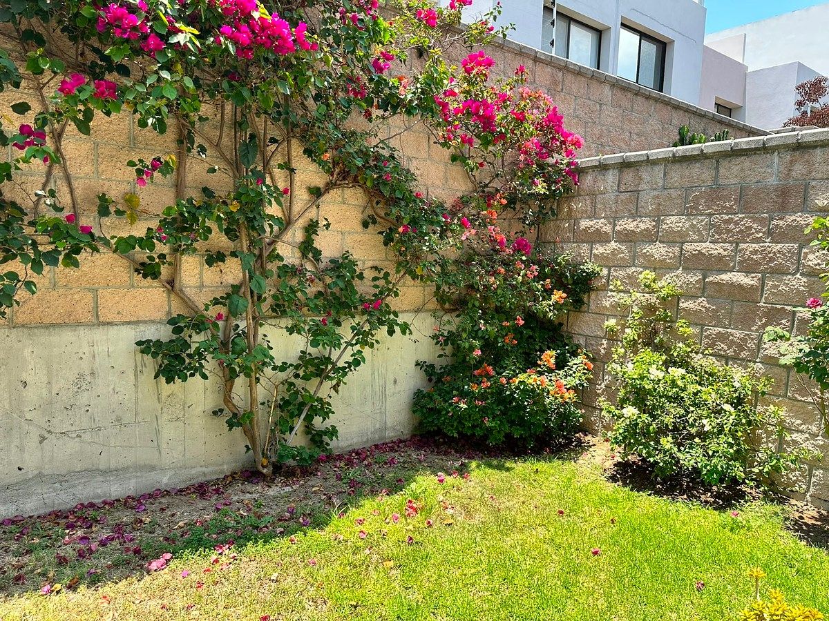 Casa em Altos Juriquilla, Querétaro, foto 26 de 26