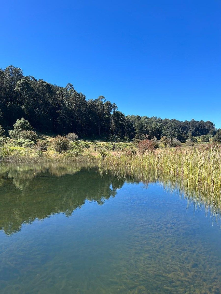 Lote em Cuadrilla de Dolores, Valle de Bravo, foto 4 de 10