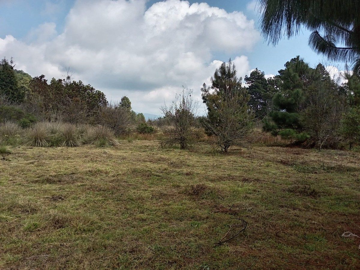 Lote em Cuadrilla de Dolores, Valle de Bravo, foto 5 de 10