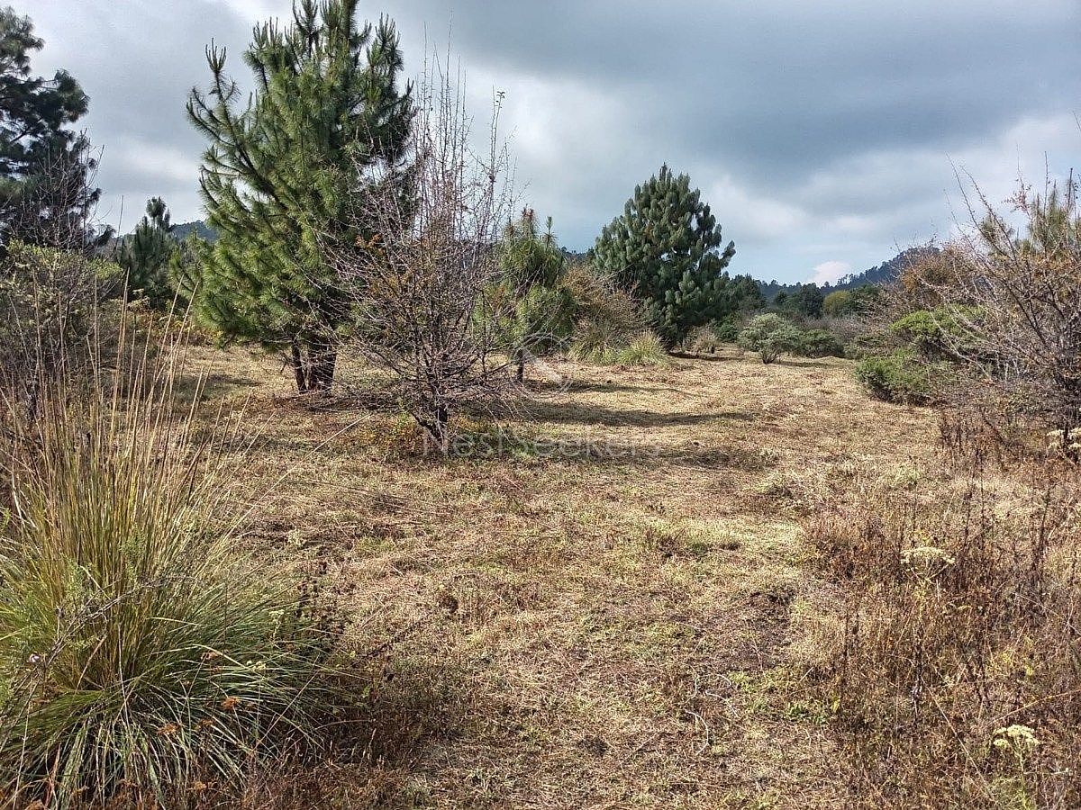 Terreno en Cuadrilla de Dolores, Valle de Bravo, foto 6 de 10