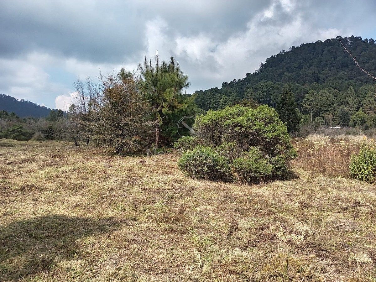 Terreno en Cuadrilla de Dolores, Valle de Bravo, foto 9 de 10