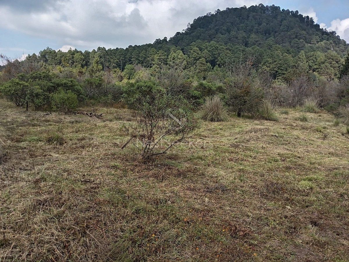 Terreno en Cuadrilla de Dolores, Valle de Bravo, foto 10 de 10