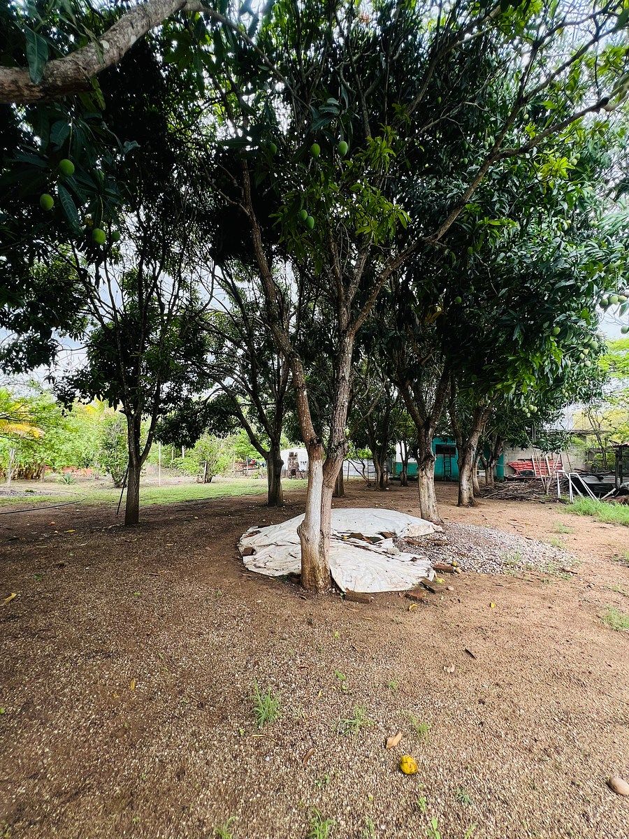 Lote em Los Sabinos, Tuxtla Gutiérrez, foto 9 de 19