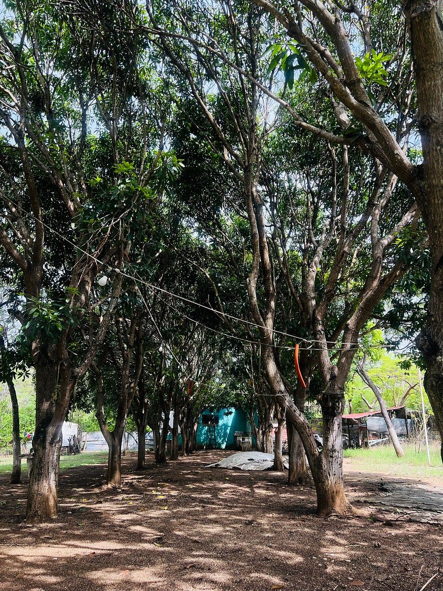 Lote em Los Sabinos, Tuxtla Gutiérrez, foto 18 de 19