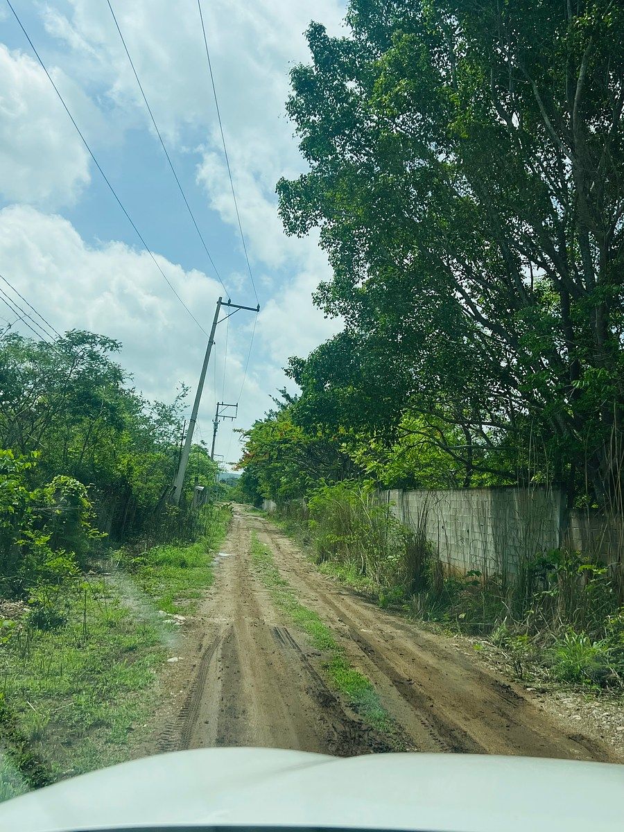 Camino hacia el terreno, foto 19 de 19