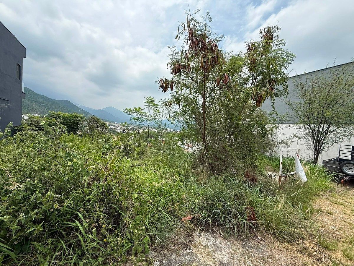 Lote em Sierra Alta, Monterrey, foto 5 de 8