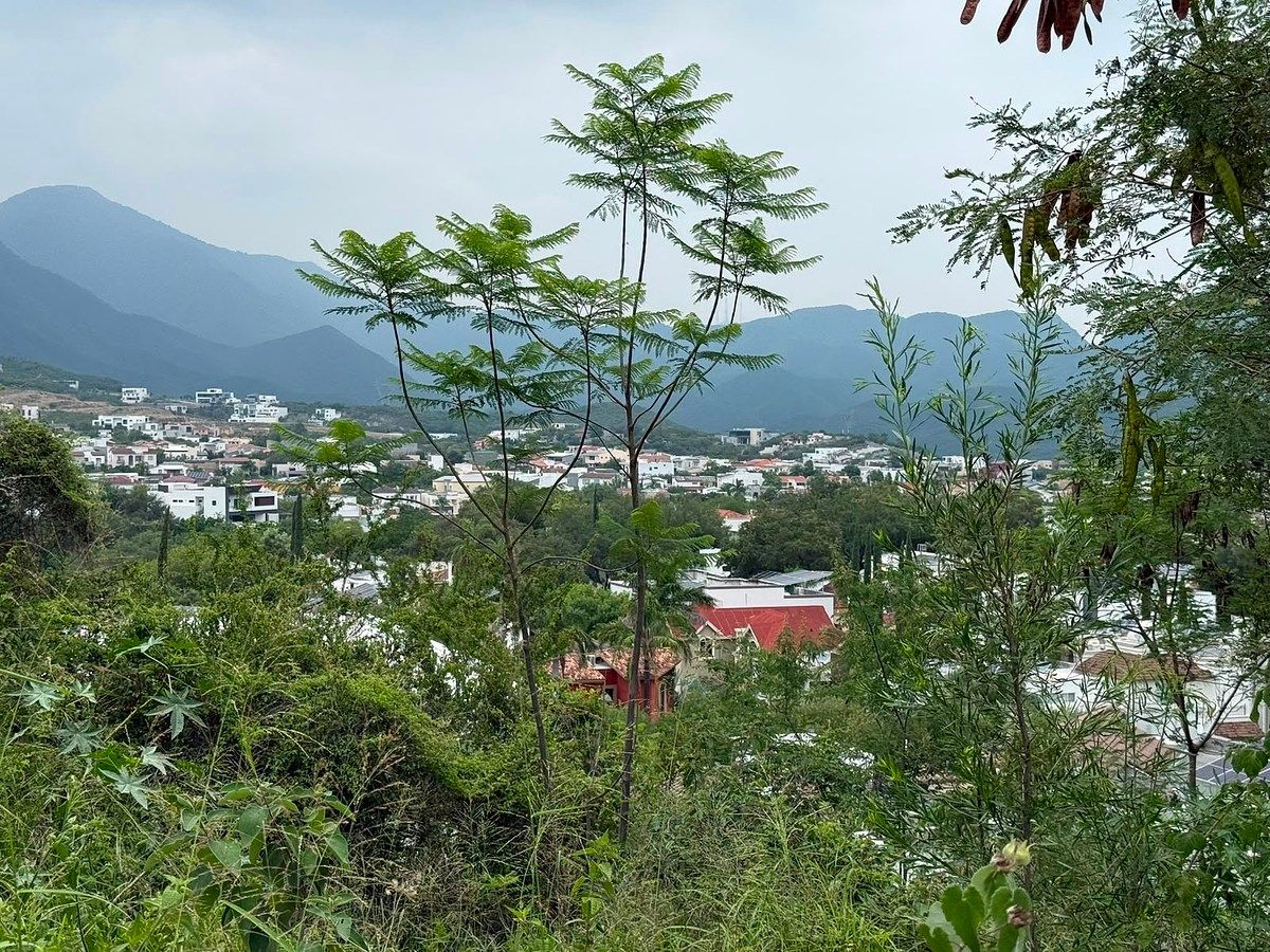 TERRENO EN VENTA, SIERRA ALTA, foto 1 de 8