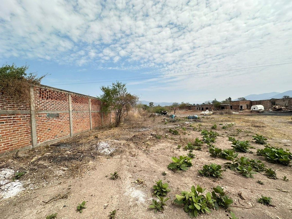 Lote em Buenavista, Tlajomulco de Zúñiga, foto 8 de 14