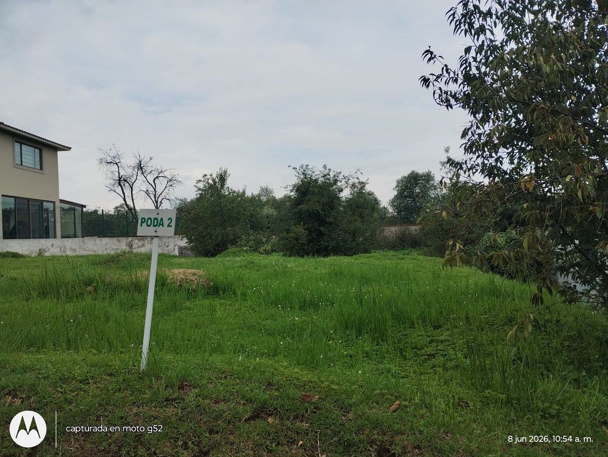 Lote em Amomolulco, Lerma, foto 4 de 13