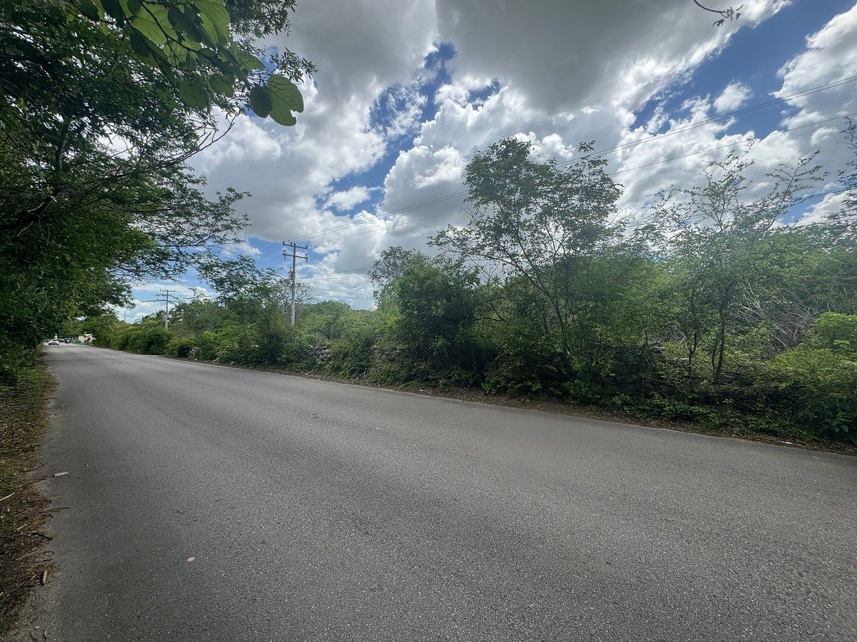 Lote em Cholul, Mérida, foto 5 de 11