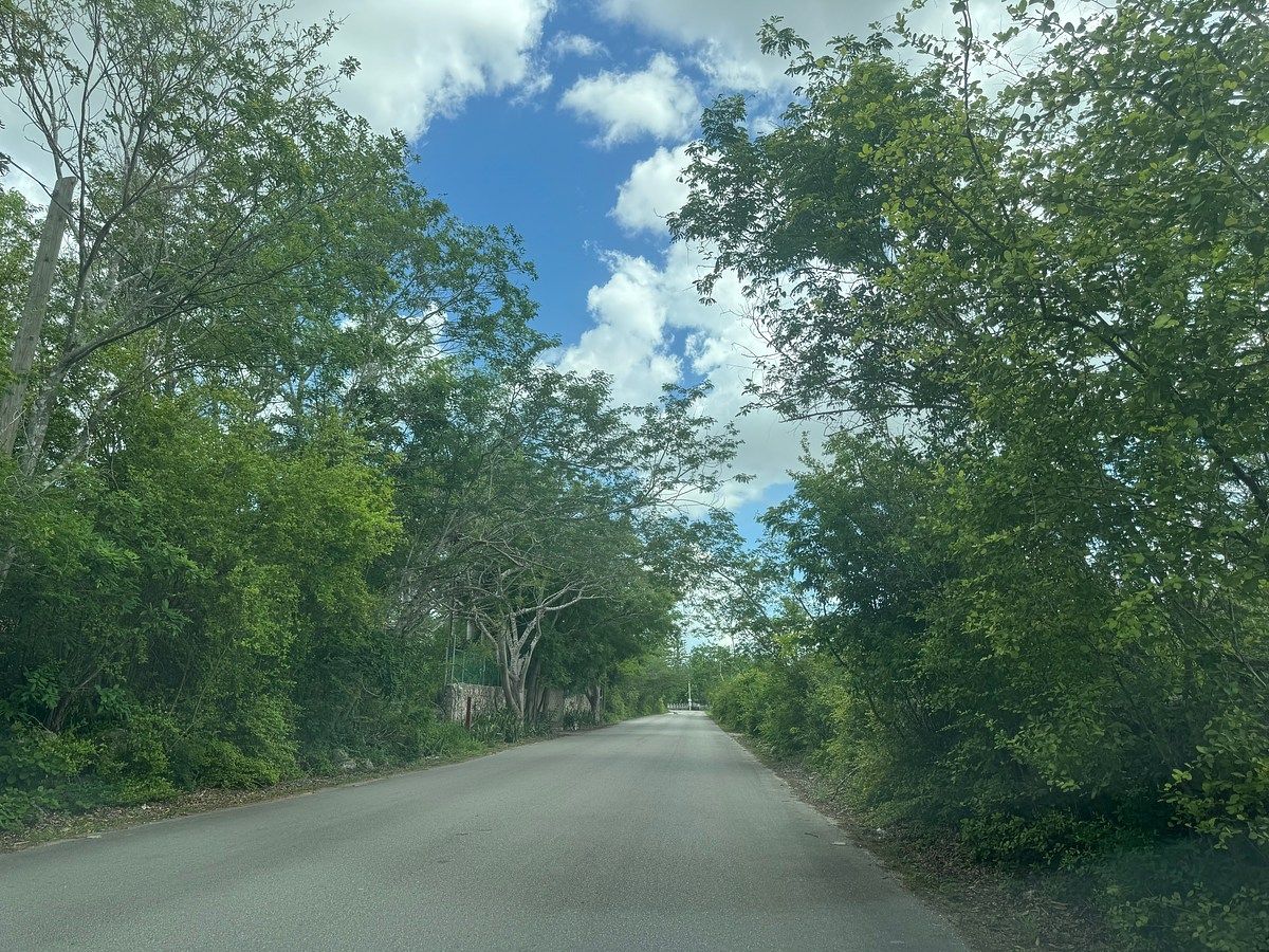 Lote em Cholul, Mérida, foto 6 de 11