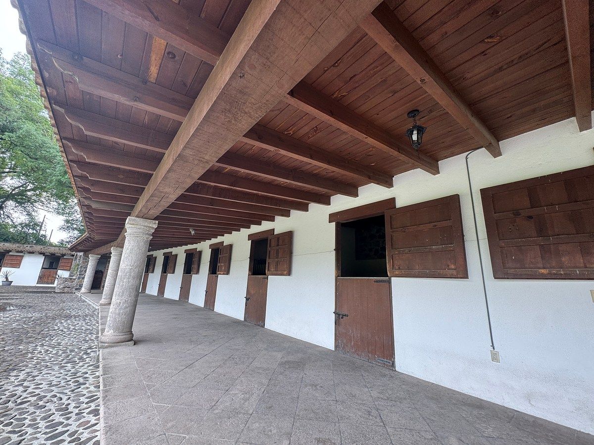 Rancho en Santiago Tlapanaloya, Tepeji del Río de Ocampo, foto 6 de 48