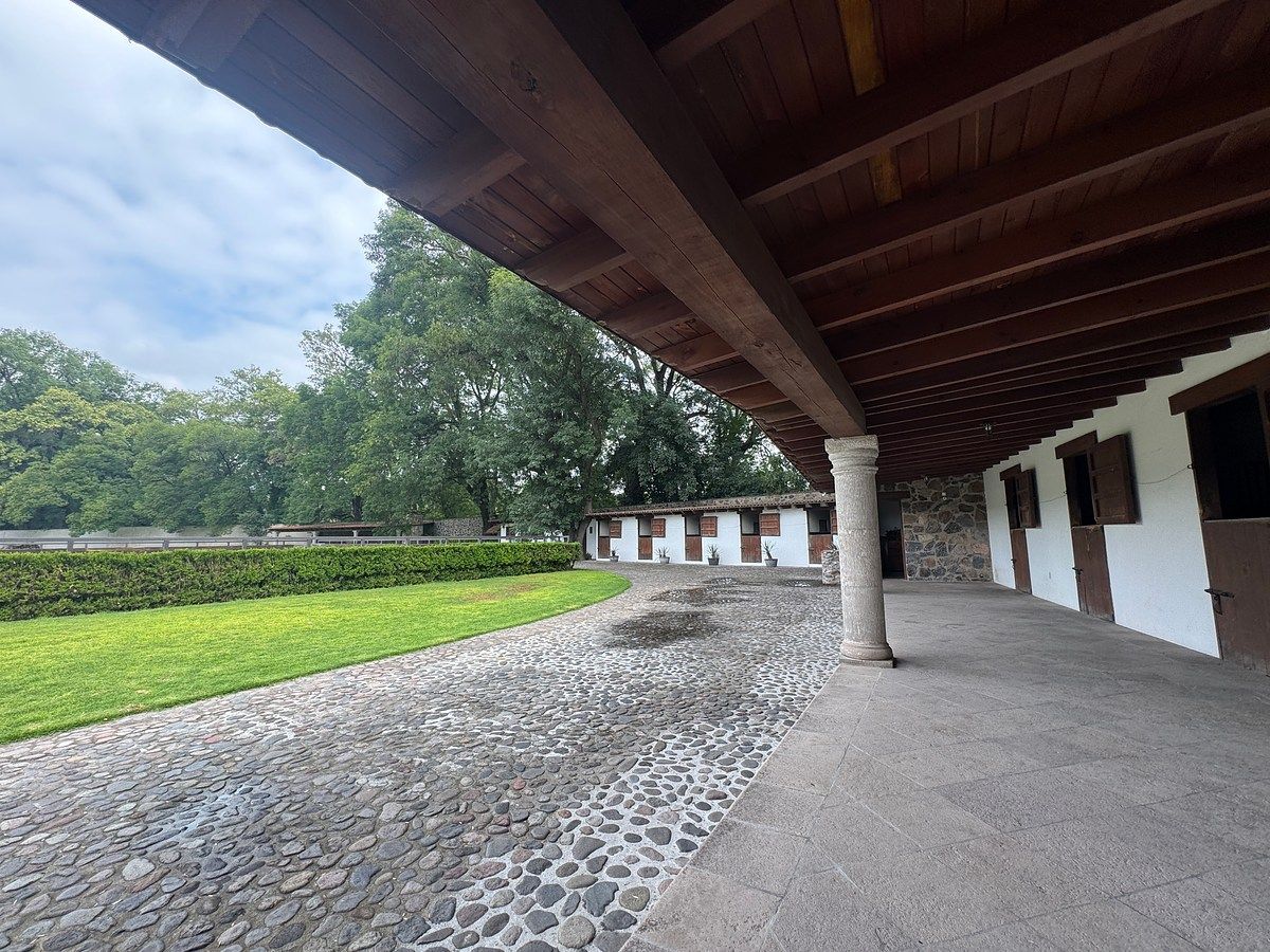 Rancho en Santiago Tlapanaloya, Tepeji del Río de Ocampo, foto 8 de 48