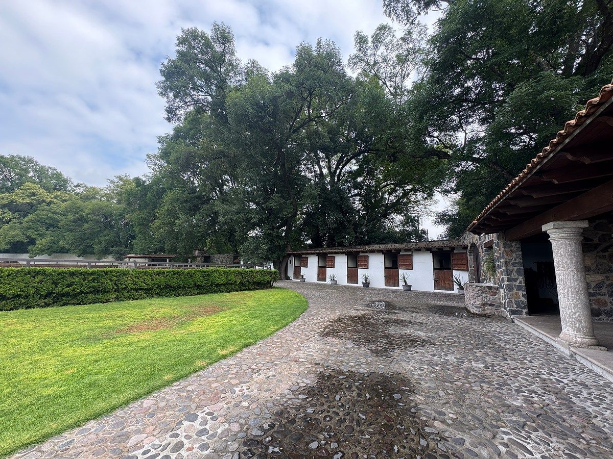 Rancho en Santiago Tlapanaloya, Tepeji del Río de Ocampo, foto 10 de 48
