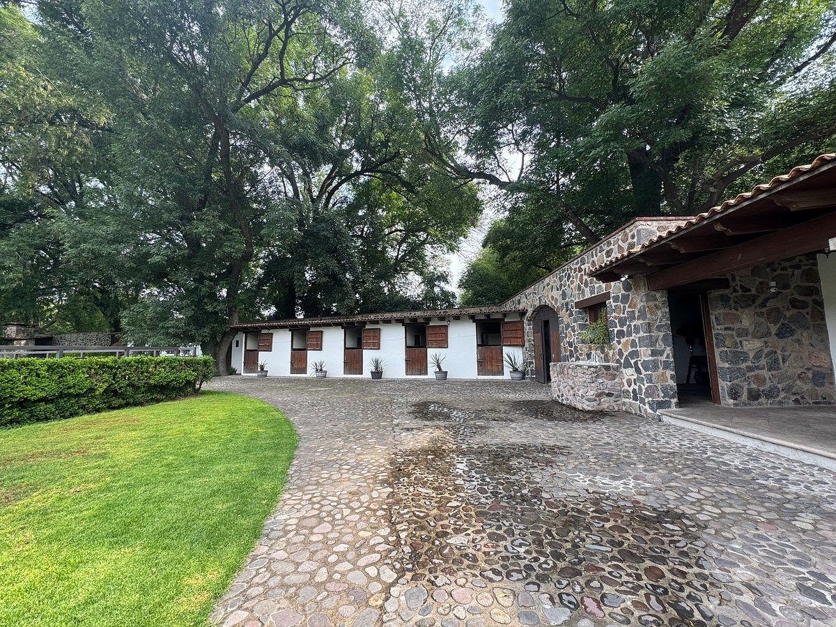 Rancho en Santiago Tlapanaloya, Tepeji del Río de Ocampo, foto 11 de 48