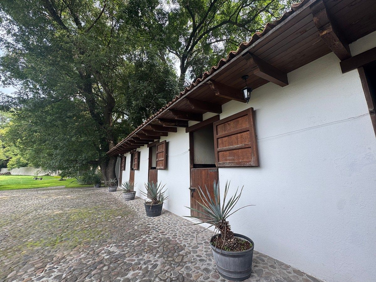 Rancho en Santiago Tlapanaloya, Tepeji del Río de Ocampo, foto 14 de 48