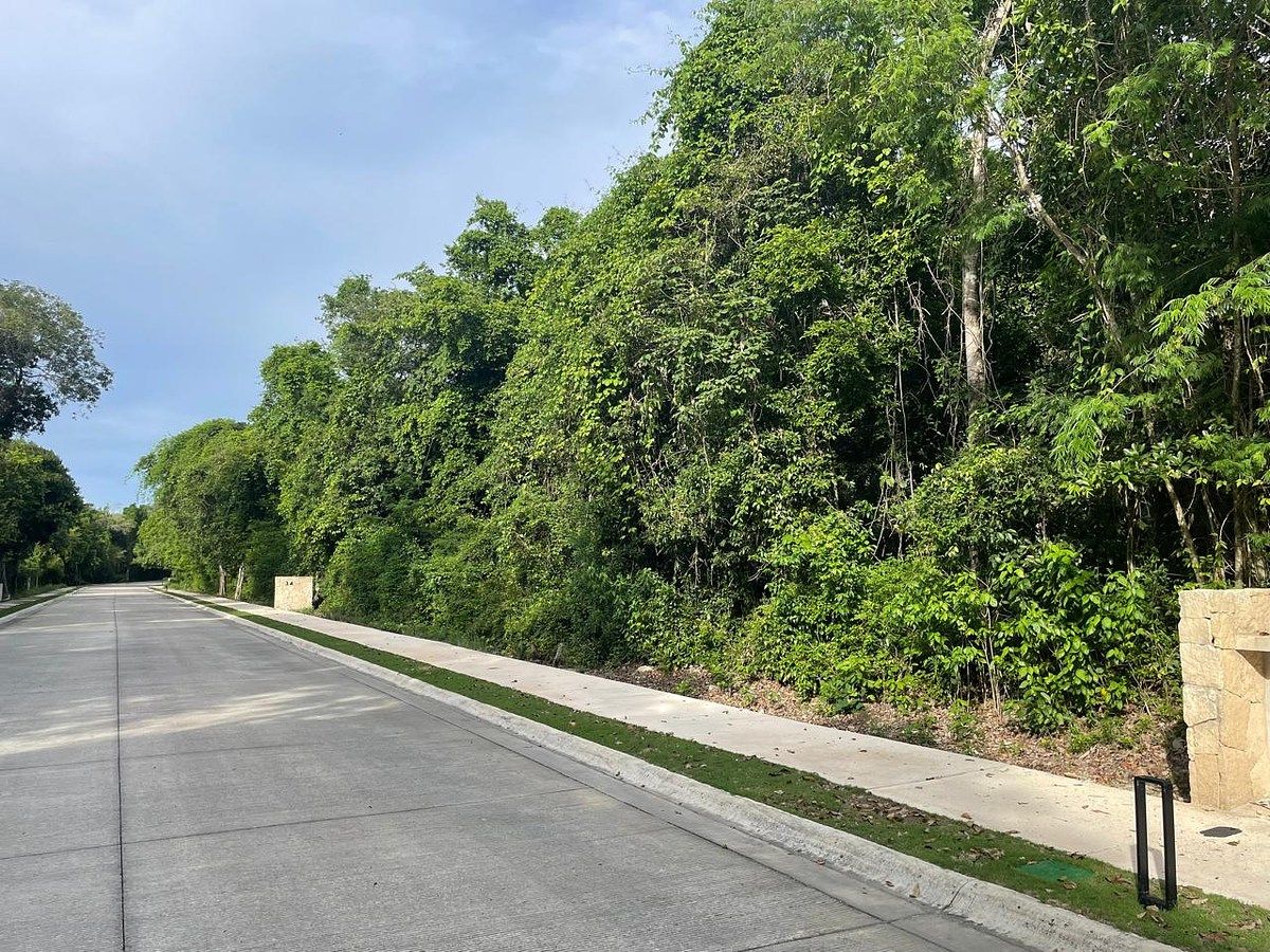 Lote em Akumal, Tulum, foto 2 de 6