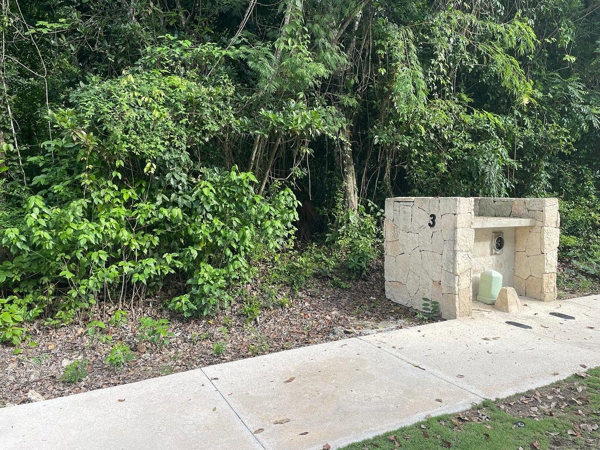 Lote em Akumal, Tulum, foto 5 de 6