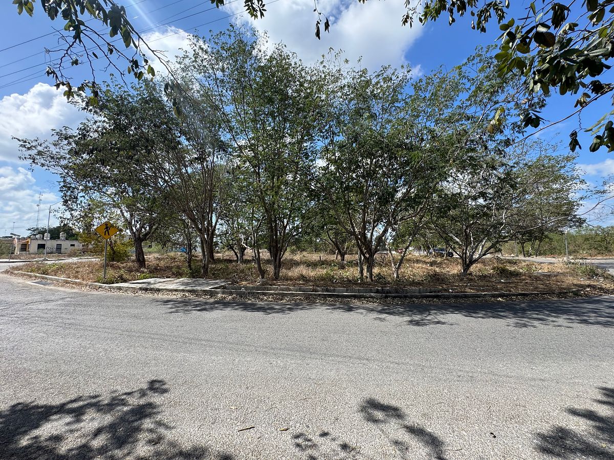 Lot in Ciudad Caucel, Mérida, photo 16 of 16