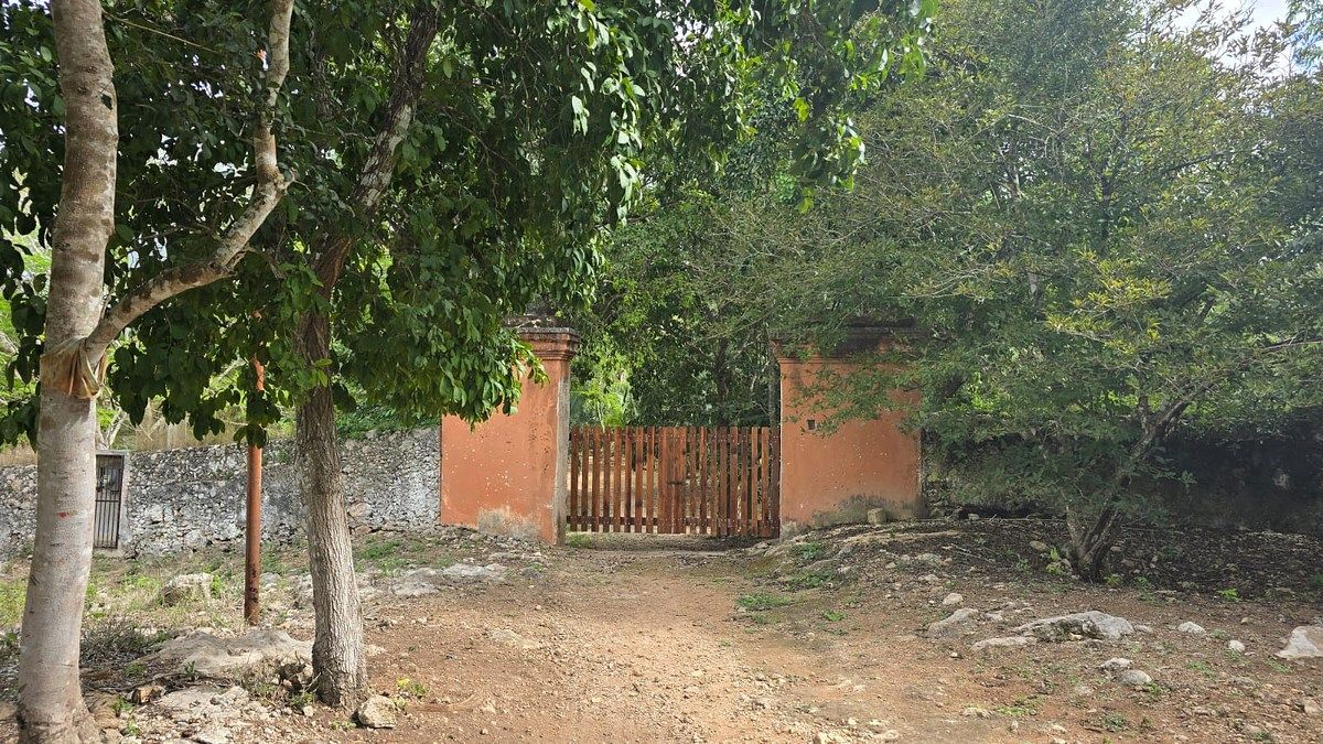 Terreno en Tekax de Álvaro Obregón, Tekax, foto 3 de 14
