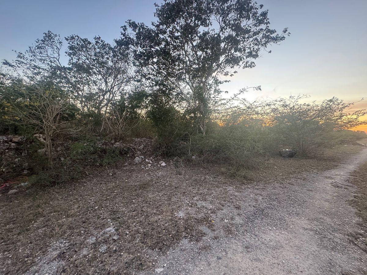 Lote em Conkal, Conkal, foto 3 de 10