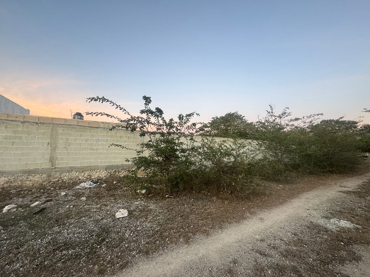 Lote em Conkal, Conkal, foto 6 de 10